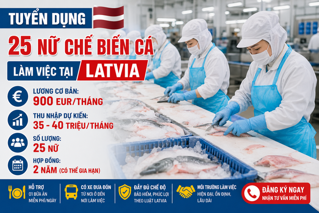 Tuyển 25 Nữ Nhân Viên Chế Biến Cá Làm Việc Tại Latvia – Lương Cơ Bản 900 EUR/Tháng | Thu Nhập 35–40 Triệu Đồng